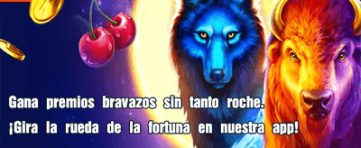 Gana más con 1xbet Perú